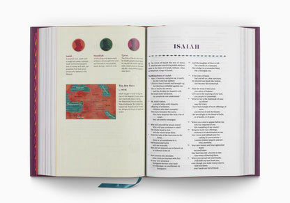 ESV The Biggest Story Holy Bible for Kids