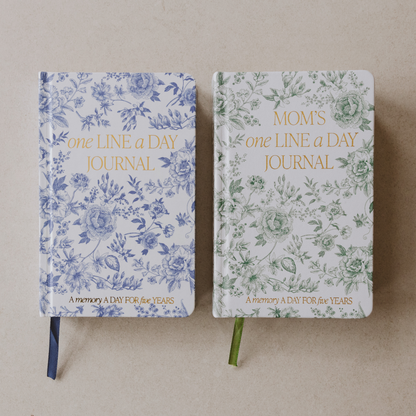 Blue Delft One Line A Day Journal