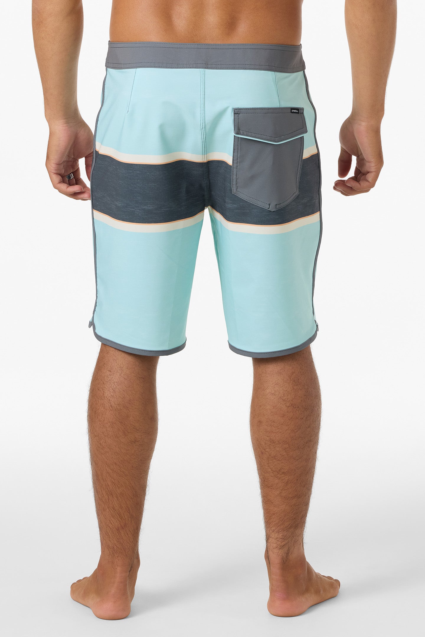 Lennox Scallop 19" Boardshorts