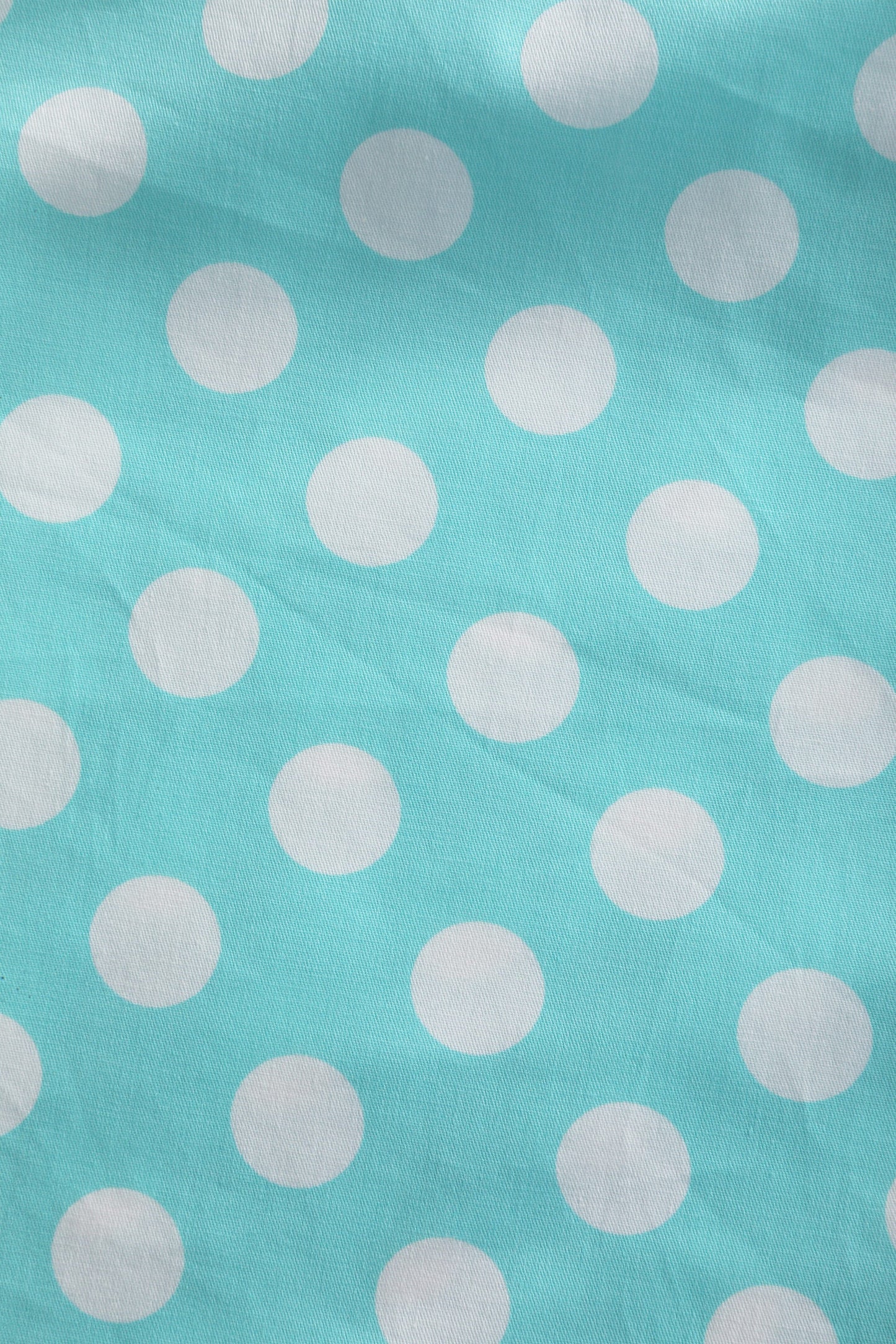 Blair Turquoise Polka Dot Mesh Dress